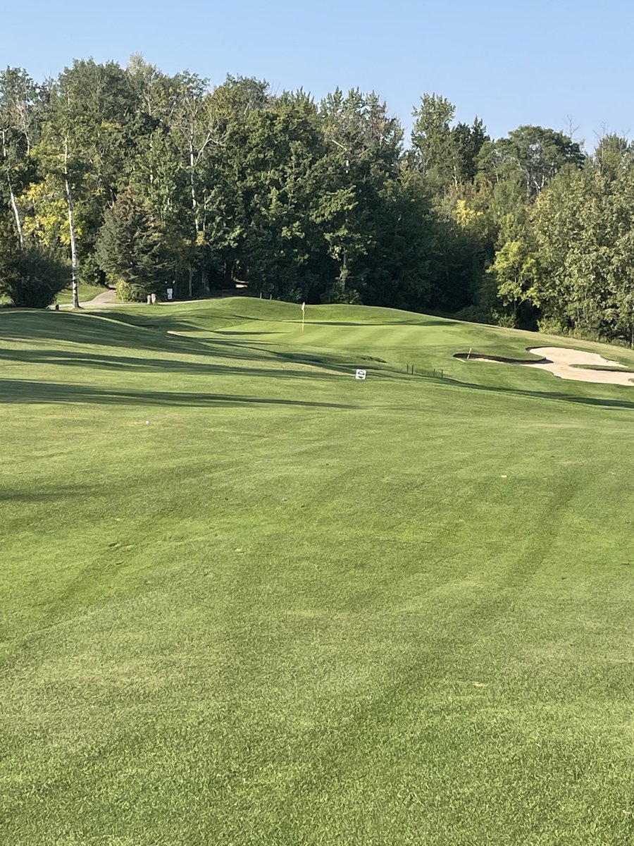 Barrhead Golf Club tweet media