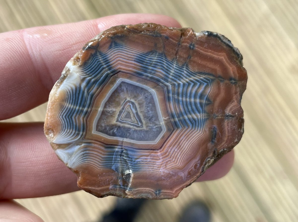 The Scottish Geology Trust tweet media