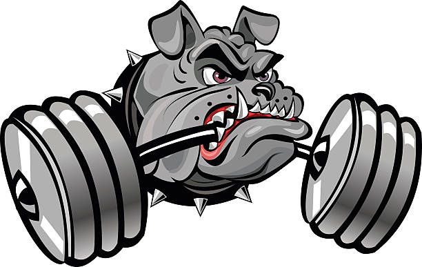 Get ready the WHS Powerlifting Club is heading your way. Our first meeting will be held next Wednesday the 21st after school. To participate you must register on il.8to18.com/wauconda/home We will discuss what the students need and wish to gain from our new club!
See you then!