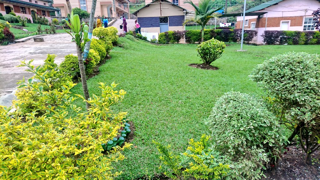 Nick_KingYNK's tweet photo. 🇨🇩#RDC 📌#SudKivu
✨#Bukavu 🏥 #HPGRB
📅 13.09.2022 🕑 1 7 : 0 0
La Ronde vespérale, la MV dans le Pavillon 14 de l'HPGRB.
La beauté de la nature ici, elle est parfaite simplement
Respecter la pelouse👌🏾
S/Le MV
@benjimk @TheoKASI #LetsGuides #VisitDRC #VisitCongo #VisitKivu https://t.co/GiyXGnLvap