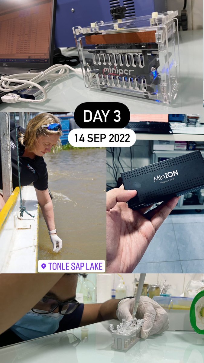 Dominic Kay tweet media