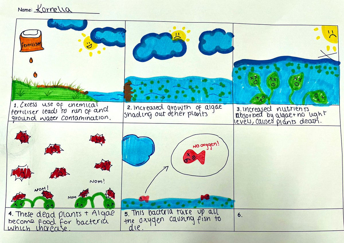 MrsWoodfordBio's tweet photo. Some great work &amp; effort from 5B this week 👏 Making  &amp; Testing their own fertilisers and constructing  eutrophication comic strips 😊 #N5bio #activelearning @TaylorHS1982 https://t.co/nE5aPF4kae