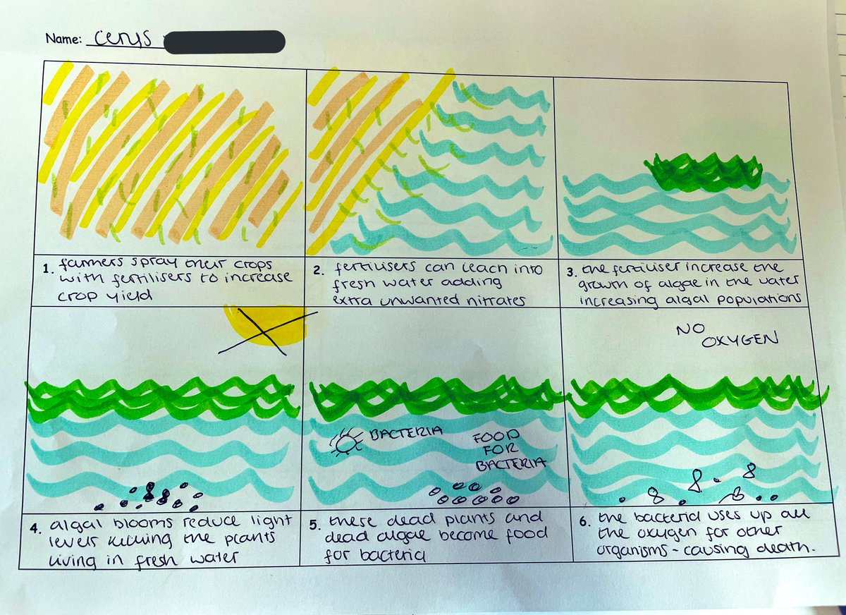 MrsWoodfordBio's tweet photo. Some great work &amp; effort from 5B this week 👏 Making  &amp; Testing their own fertilisers and constructing  eutrophication comic strips 😊 #N5bio #activelearning @TaylorHS1982 https://t.co/nE5aPF4kae