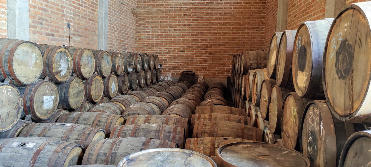houseof_rare's tweet photo. Heading back to the town of #Tequila next week to finalize our RAREcask collection, a limited series of 50 Tequila barrels that will be aged in House of RARE's private aging cellar
Blown away by our community over 50% committed🙌
#organicstaking #realyield #NFTcollections https://t.co/oOT5iDQIwG