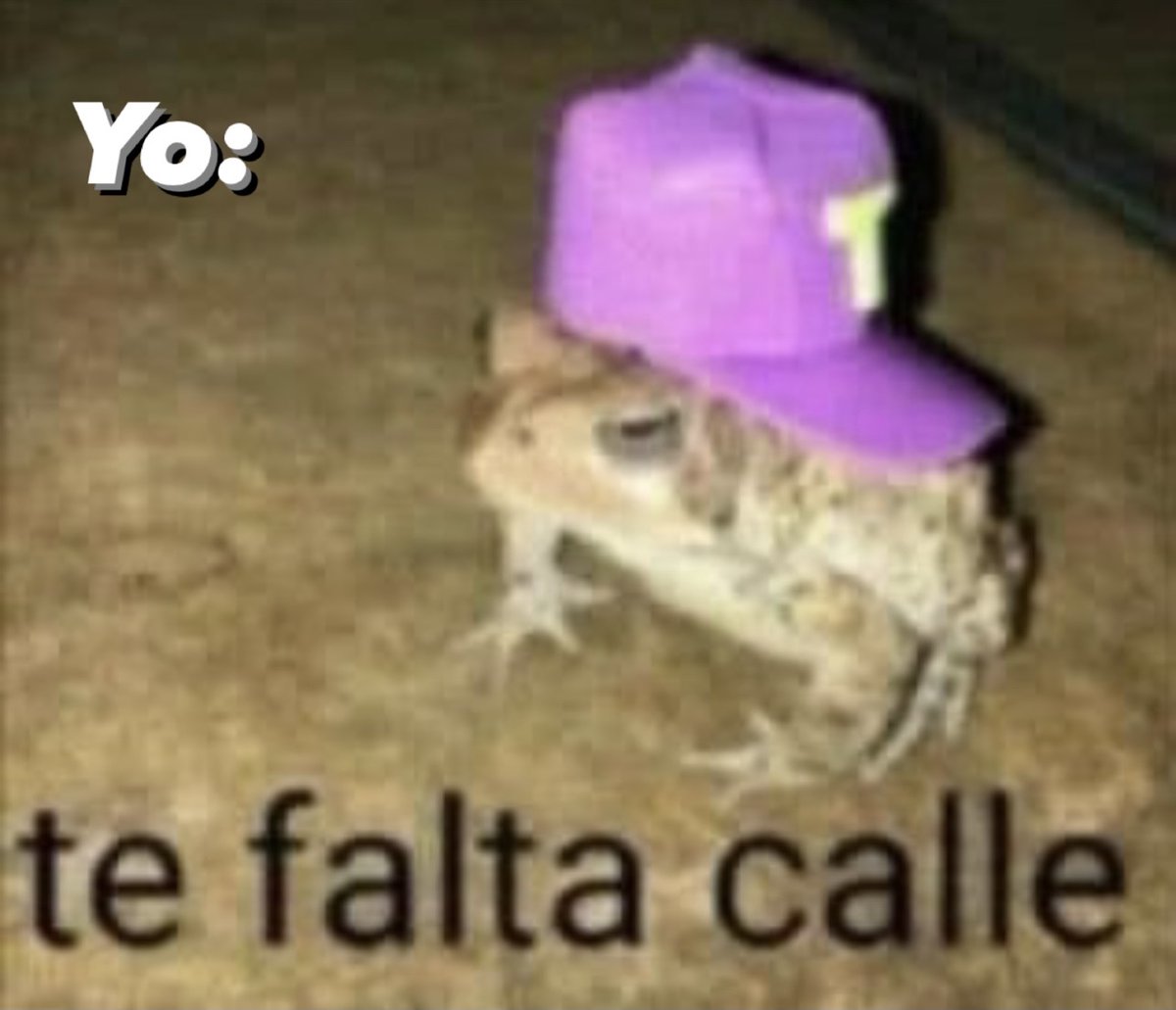 Cuando mi amix no entiende mis frases: