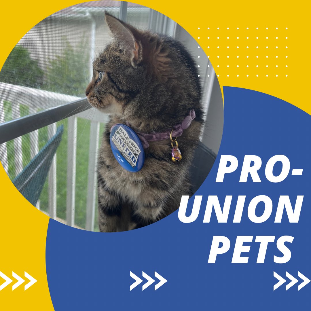 Unions are the for those with their eye on the prize… or a bird. Either way, Gajeel supports us! Show us your #prounionpet in solidarity!