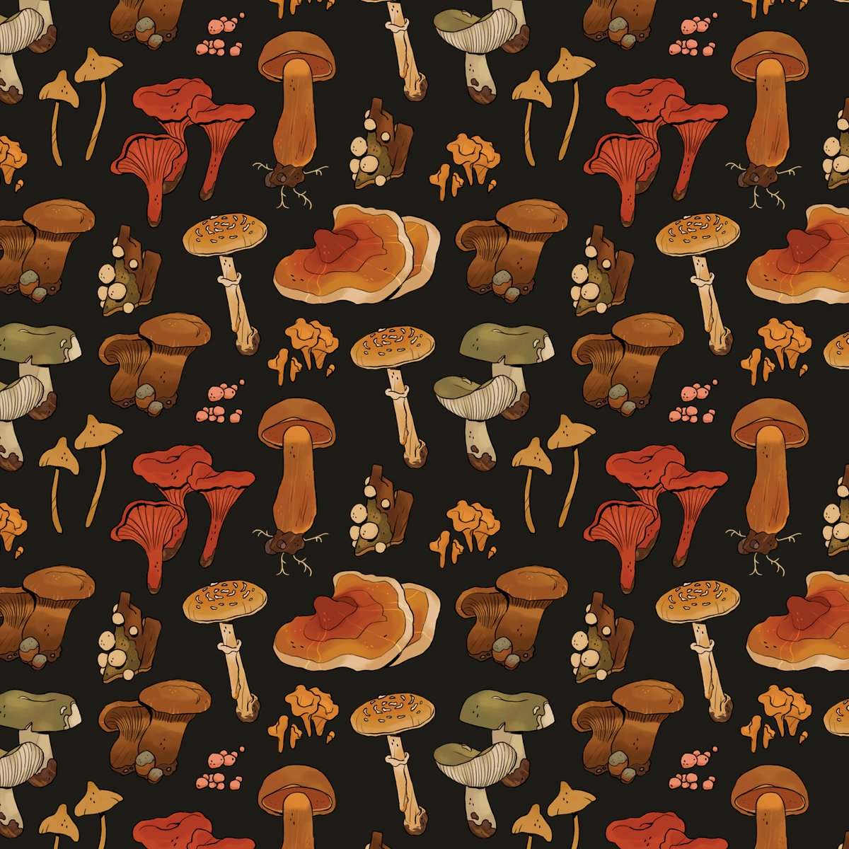 birdwarde's tweet photo. 🍁🍄🍂 https://t.co/qVcGaoSsuh