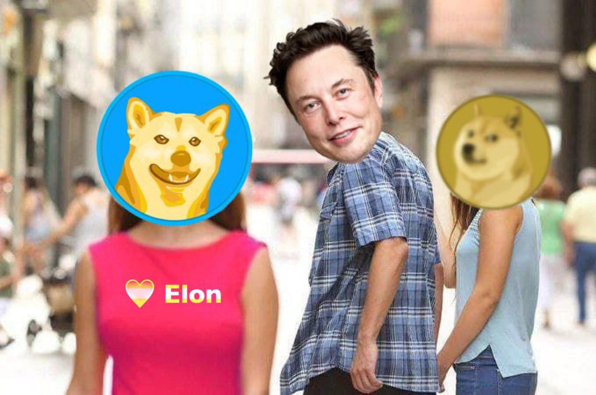 BigSharkMusk's tweet photo. @dogefantoken @elonmusk πΆ#Dogefan #DogeFanToken #Dogefan #TrendingNow #Trending To THE MOOOOOOOOOOOOOOON π₯πππ
#DogeFanToken
#Memecoin
#MemeToken
#CryptoNews https://t.co/DZUsQFfy9x