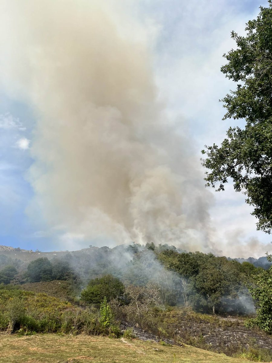 Prefet64's tweet photo. 🔥 #incendie
⚠️ Un incendie est en cours à La Rhune. 10 hectares ont brûlé.
L'évolution est lente. La situation météo n'est pas défavorable.
Pas de risque pour les biens, ni pour la population. https://t.co/fQ0sbwUX6W