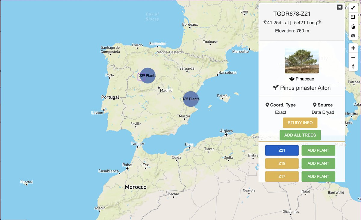 TreeGenes's tweet image. FEATURED STUDY: Spatial #GeneticStructure in #continuous and #fragmented populations of Pinus pinaster #Aiton
By: A. I. De-Lucas, S. C. González-Martínez, G. G. Vendramin, E. Hidalgo, and M. Heuertz
#TGDR678 has 394 #trees in #CartograPlant: treegenesdb.org/cartogratree?a…