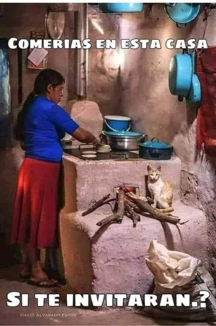 David Morga Oficial tweet media