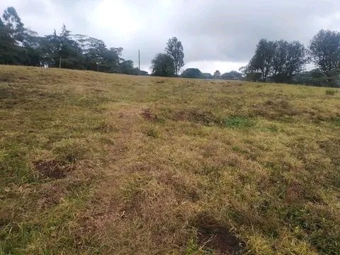 FrenPropertie's tweet photo. 24 Acres road for sale
  The land is very prime, located at Karen RHINO PARK, good for residential homes, institutions. Has a river frontage, borehole, electricity. Selling at 60 milion per acre. https://t.co/BZHVxIpC2G