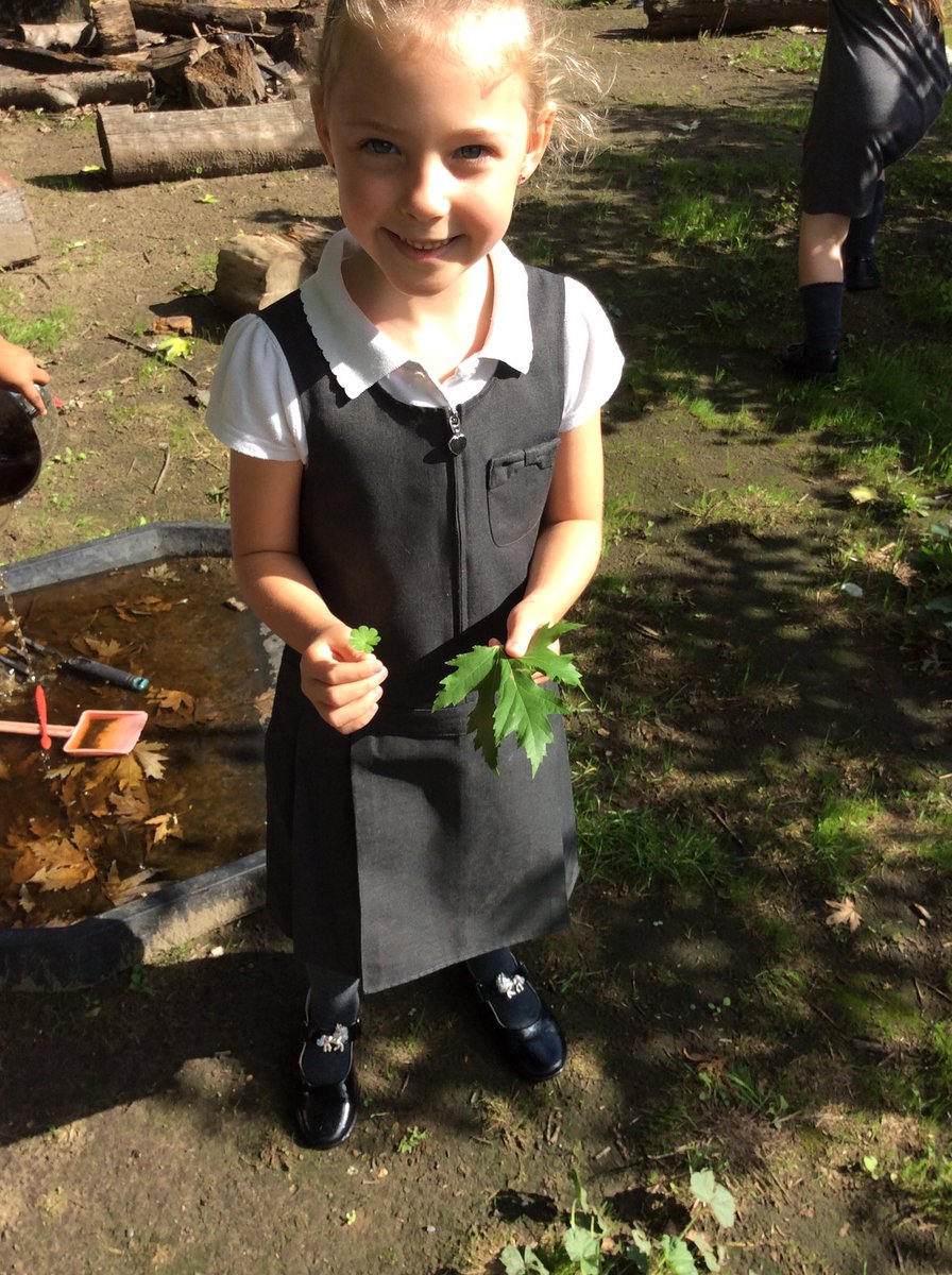 Foxfield Year 2 Ash tweet media