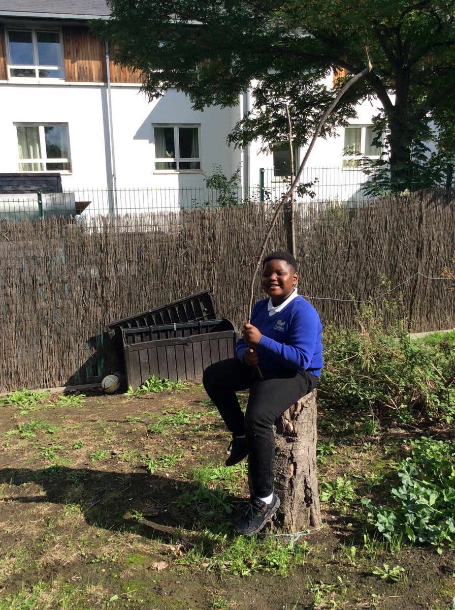 Foxfield Year 2 Ash tweet media