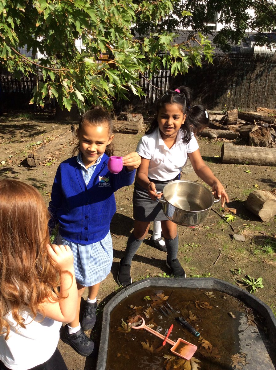 Foxfield Year 2 Ash tweet media