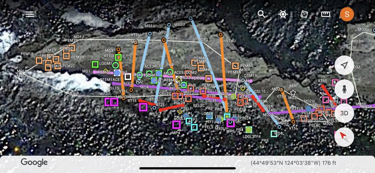 Dr. Sarah Gravem tweet media