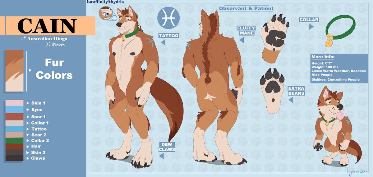 Cain The Dingo AD tweet media