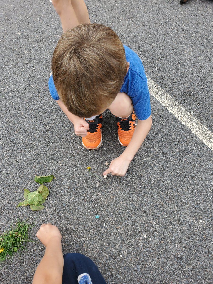 GillBaskwill's tweet photo. Sharing my love of #outdoormath with my new crew! We're counting nature with a little running thrown in! #seewhatimlearning #kindergarten @SMES01 https://t.co/aZSq0WL5E1