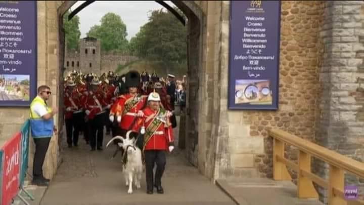 animolenikun's tweet photo. This is the British carrying a white ram (intended for sacrifice) for the crowning and declaration of Prince Charles as King of England.

This is their ancient tradition and culture (Ọdịnaanị na Omenaanị as we call it). https://t.co/Jr1LigQ5he