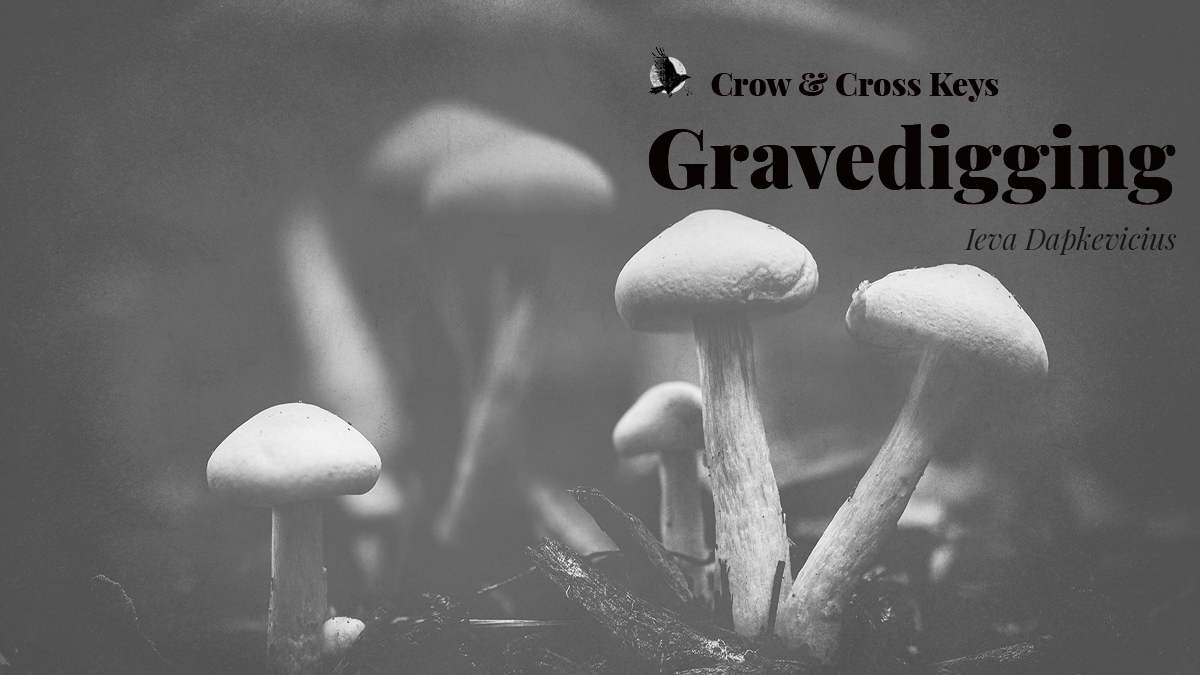 CrowKeys's tweet photo. Eerie and atmospheric is the theme for the day, and we have the perfect eerie, atmospheric poem to share with you...

"Gravedigging" by @feytouchd 

https://t.co/SVldio3W1a https://t.co/lDIQlxml3T