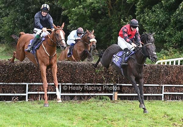 irishracing's tweet photo. O'Sullivan off the mark as pro on Dangan  @SligoRaces https://t.co/ogqUZPOfuv https://t.co/SnnU4IV1TU