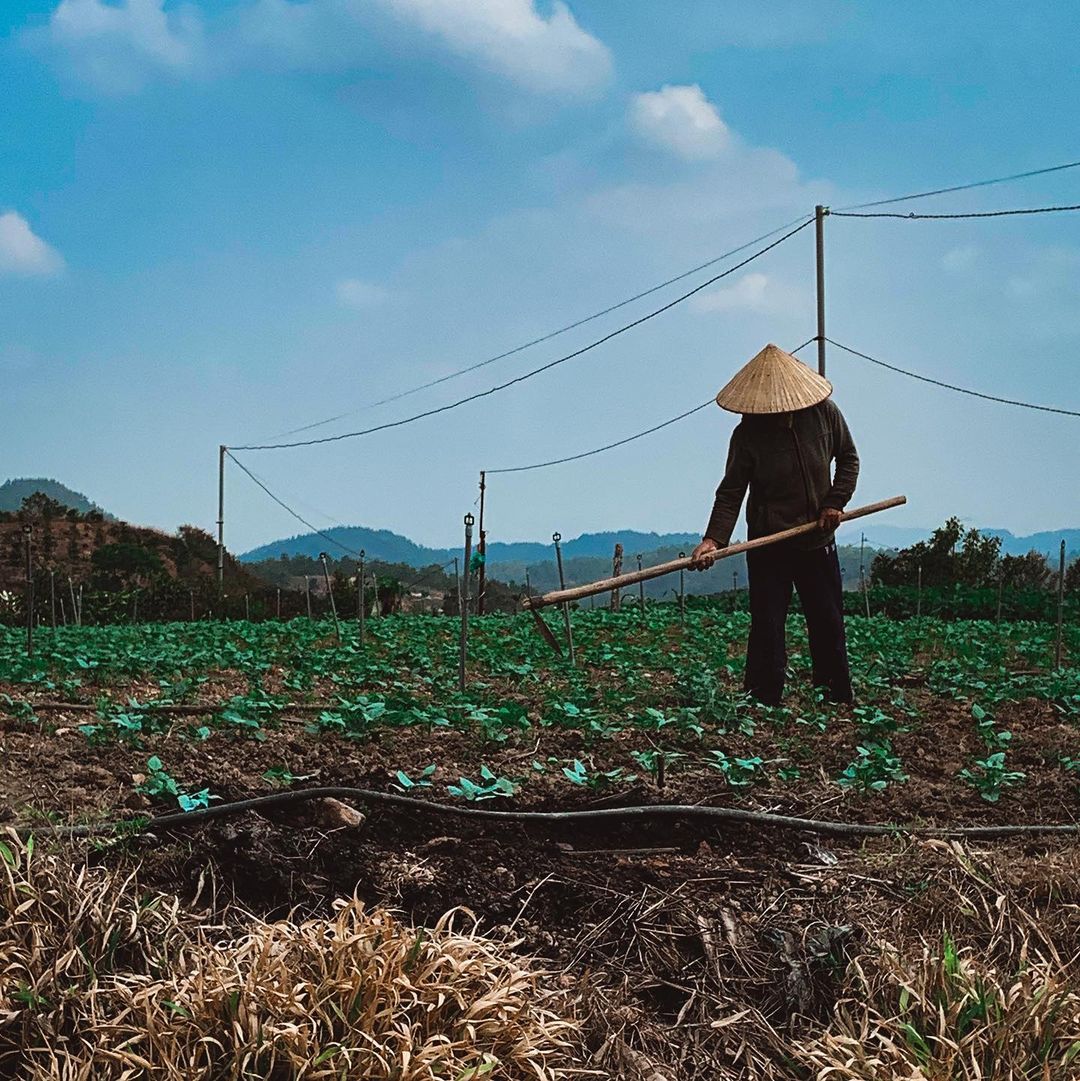 From our very own organic family farm to our family-run Omni brewing facility in California, we bring authentic Vietnamese flavor into every bottle of Omni, sustainably! ☕️