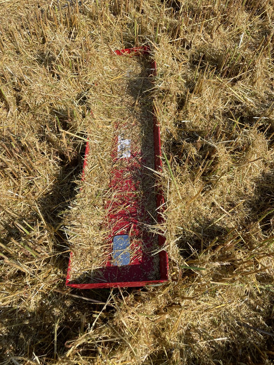 We only got a couple Bushels Plus left. Get yours now! 13067524445