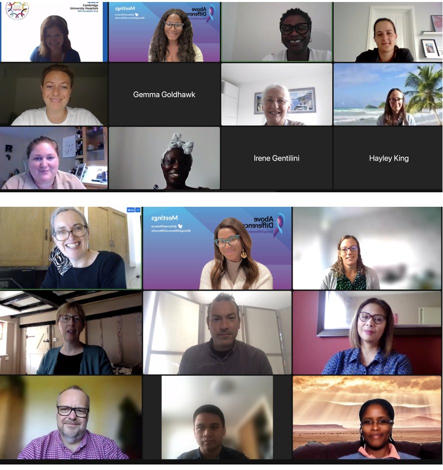 Abovedifference's tweet photo. Really enjoyed #leadingdifferencedifferently with @CUH_NHS cohorts last week and today. Thank you all for your joining our @Abovedifference #LeadingInclusively with #CulturalIntelligence Masterclass with @AshieduJoel & Lucy Butters and for #beingthechange #toseeandhearyou https://t.co/kBlffu5ga8