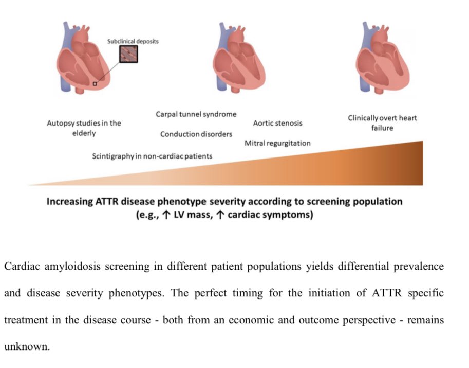 Edgardo Alania (@ed_alania) on Twitter photo 🔴How prevalent is cardiac amyloidosis and which patients should be screened? <a href="/MdNitsche/">Christian Nitsche</a> <a href="/ESC_Journals/">European Society of Cardiology Journals</a> #CardioEd #Cardiology #amyloidosis 🔴How prevalent is cardiac amyloidosis and which patients should be screened? <a href="/MdNitsche/">Christian Nitsche</a> <a href="/ESC_Journals/">European Society of Cardiology Journals</a> #CardioEd #Cardiology #amyloidosis