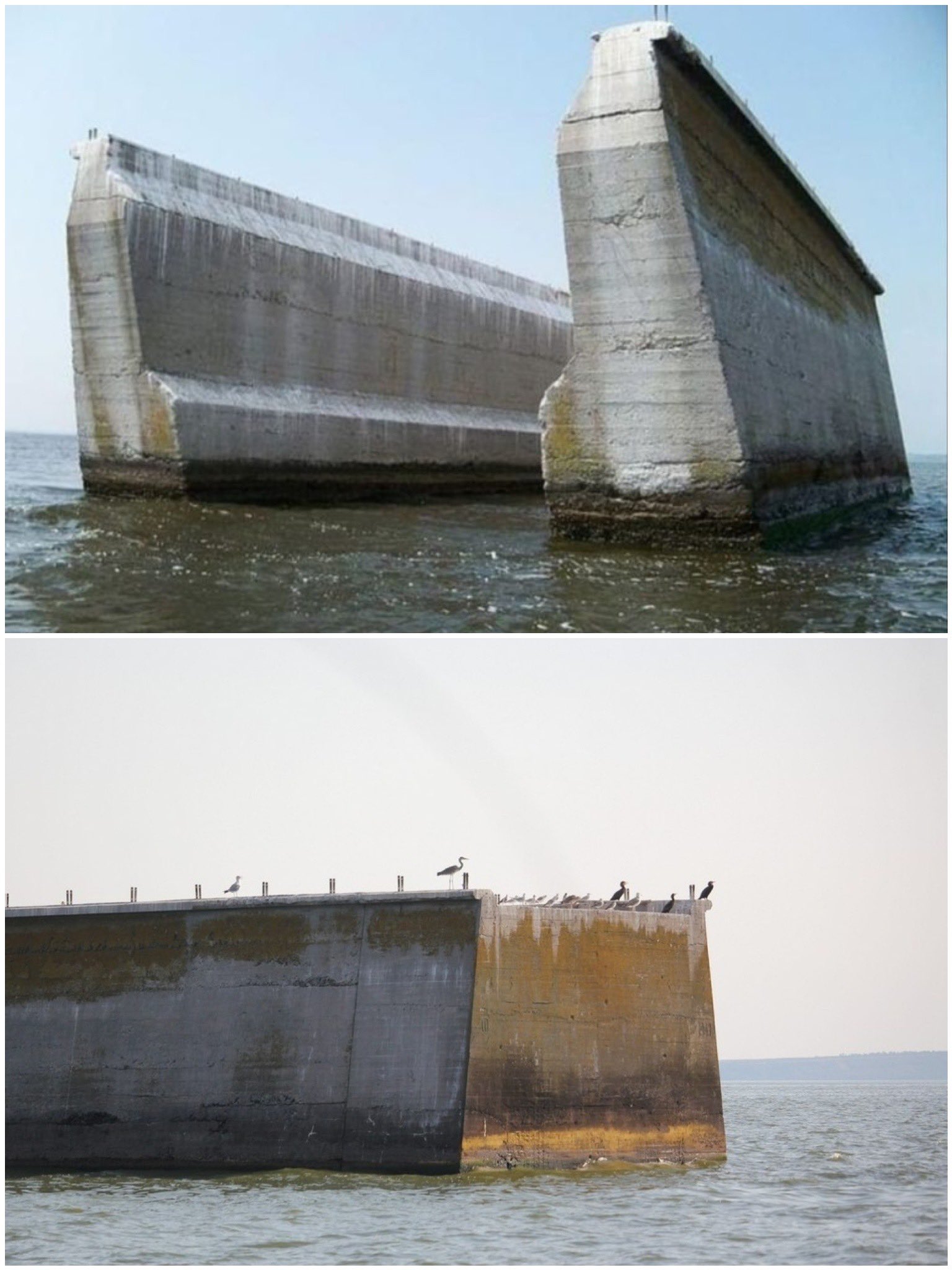 Fco_mJRX0AIOGPc?format=jpg&name=large