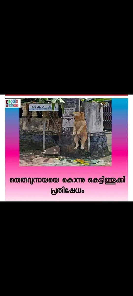 AntiCrueltyCell's tweet photo. Kerala is at it again! State gives permission to kill wild boars that were only scavenging food to survive. now  relentless on killing innocent dogs for no fault. 
@PMOIndia @CMOKerala @BJP4Keralam @HSIGlobal  @Manekagandhibjp @TheKeralaPolice  @pfaindia @PRupala @gauri_maulekhi https://t.co/FU1eYW2Npa