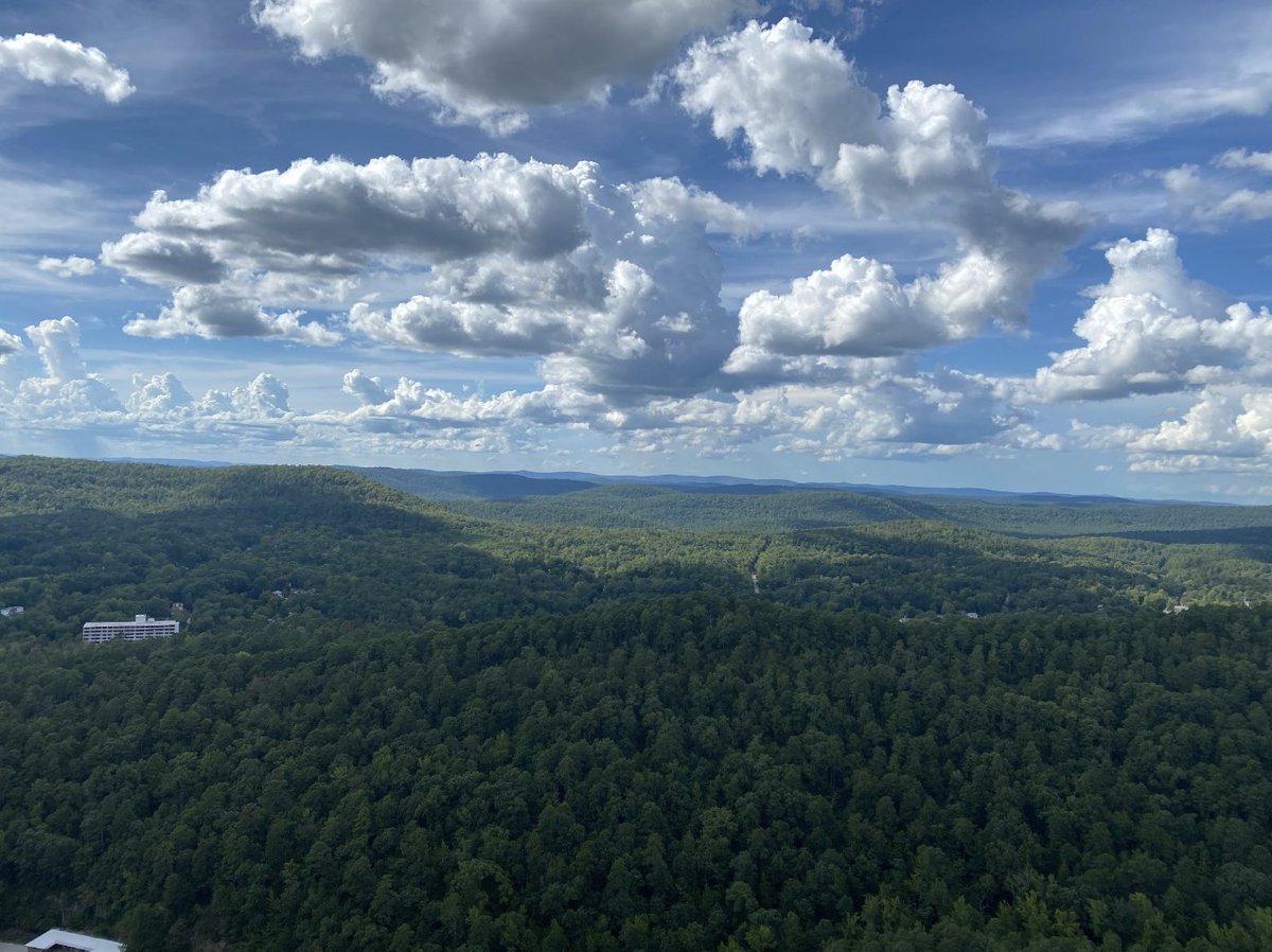 Some of our Data Annotators assisting our Operations team in field work down in Arkansas. Sure was a hot one! Breathtakingly beautiful too.

#forestry #data