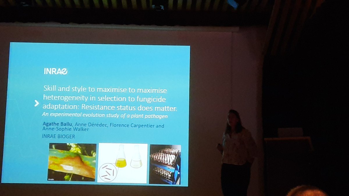 Isabelle Fudal tweet media