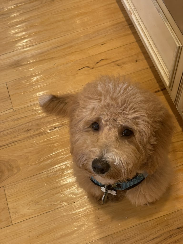 Semicondogter's tweet photo. I’m not begging you’re begging https://t.co/wijZto7dsy