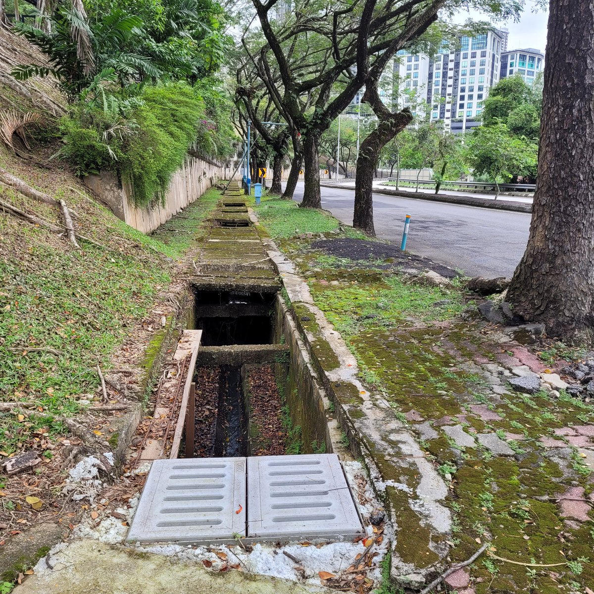 votebettersidewalks tweet media