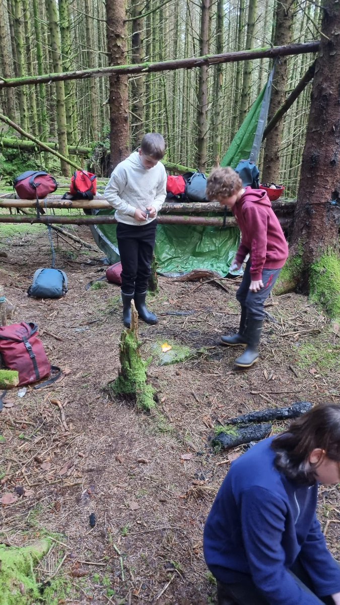 Bonaly Primary tweet media