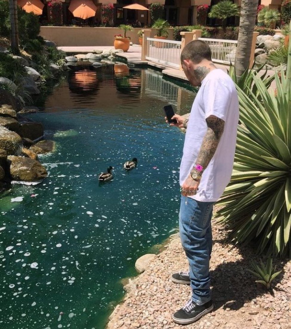 Mac Miller photographing ducks