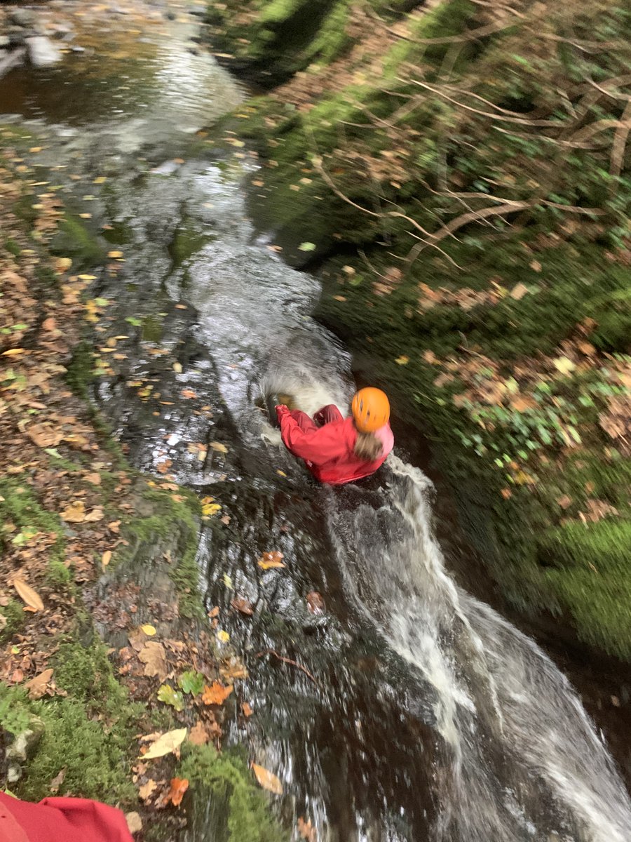 Bonaly Primary tweet media