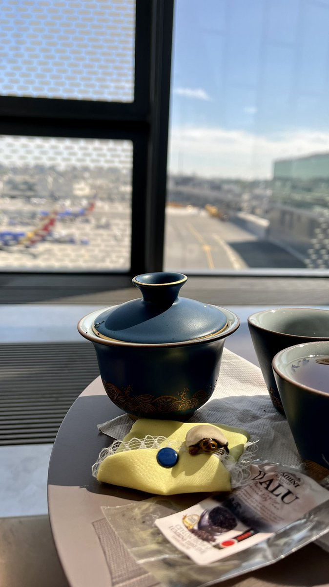teainfusiast's tweet photo. How to entertain yourself at the airport! 😂 Bring a #teapet. This is Bonsai, my micro turtle. 🐢 (You can read about her and the potter who created her on my last blog post! 🔗 in bio! ) #teapets https://t.co/1B3iFFFmIQ