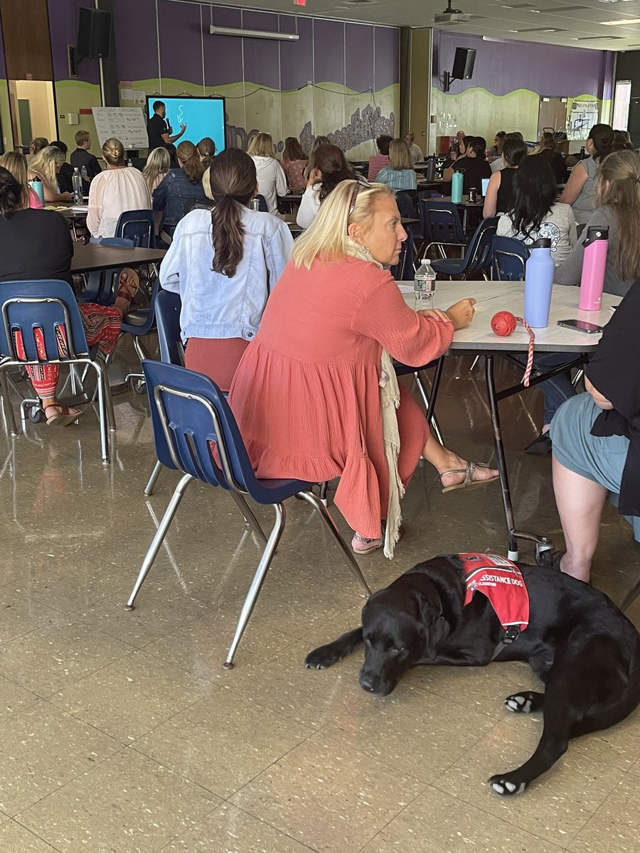 pps_edtech's tweet photo. Everyone is enjoying the Touchview Interactive Panel training with Ockers. Well, almost everyone 🐕‍🦺#Ockers #Touchview #EdTech https://t.co/OL5wMtgbXF
