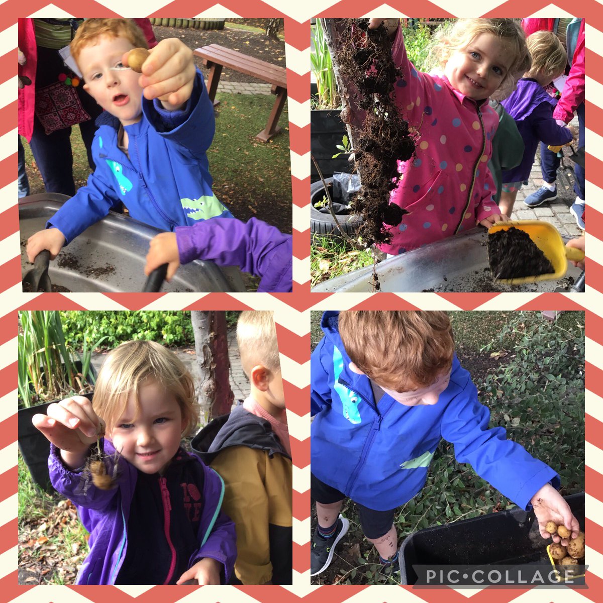 Nursery@fircroft.family tweet media