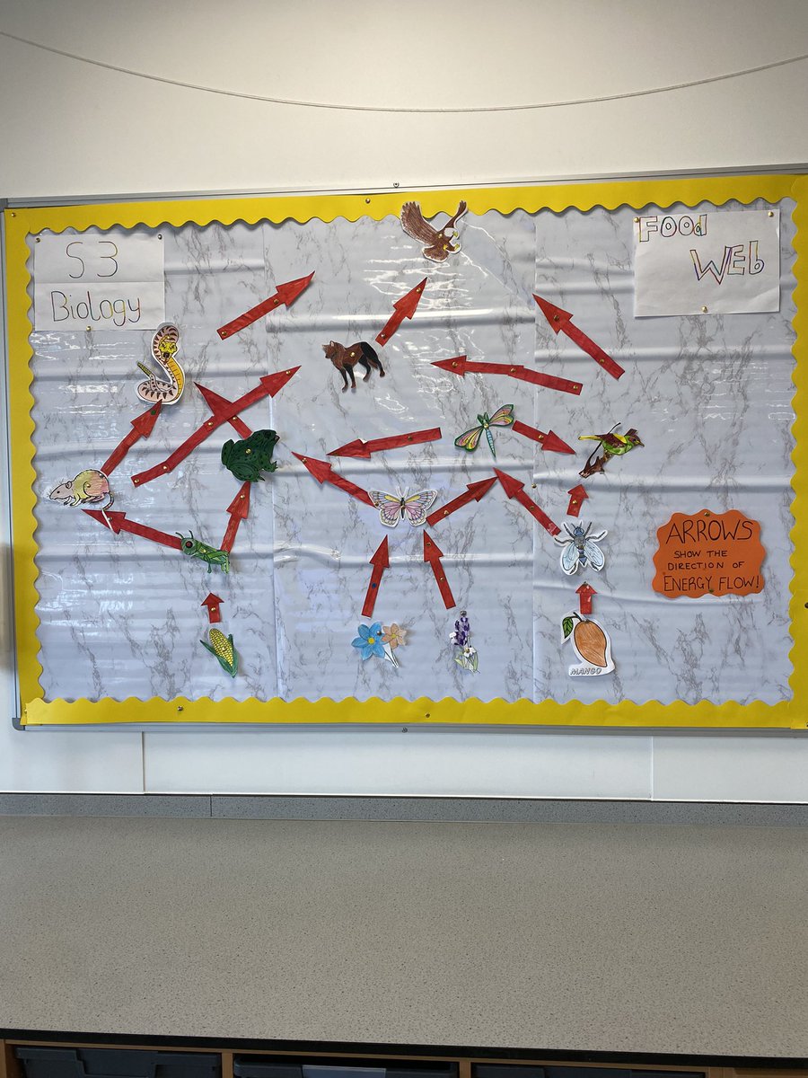 Miss Holliday👩🏻‍🏫 tweet media