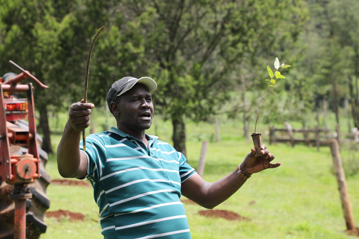 MConservancies's tweet photo. We are utilizing these celebrations to learn best practices for tree planting to conserve the water from organizations in the South West Mau Complex. #MaraDay https://t.co/ZSG3RsINMU