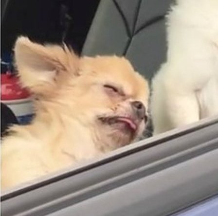 Laura Robertson 👻 tweet media