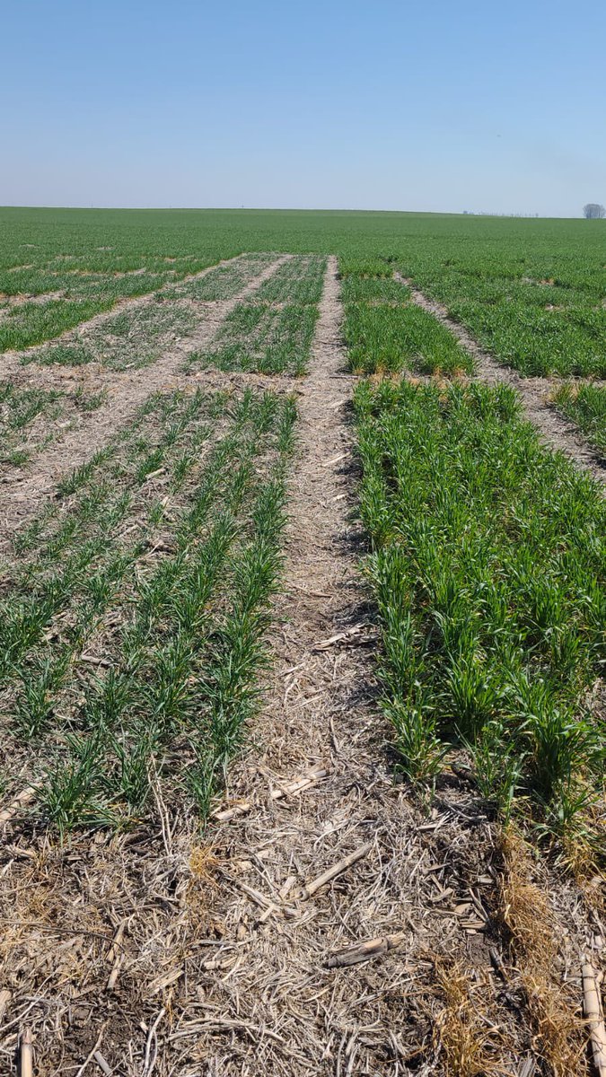 ProyectAgro tweet media