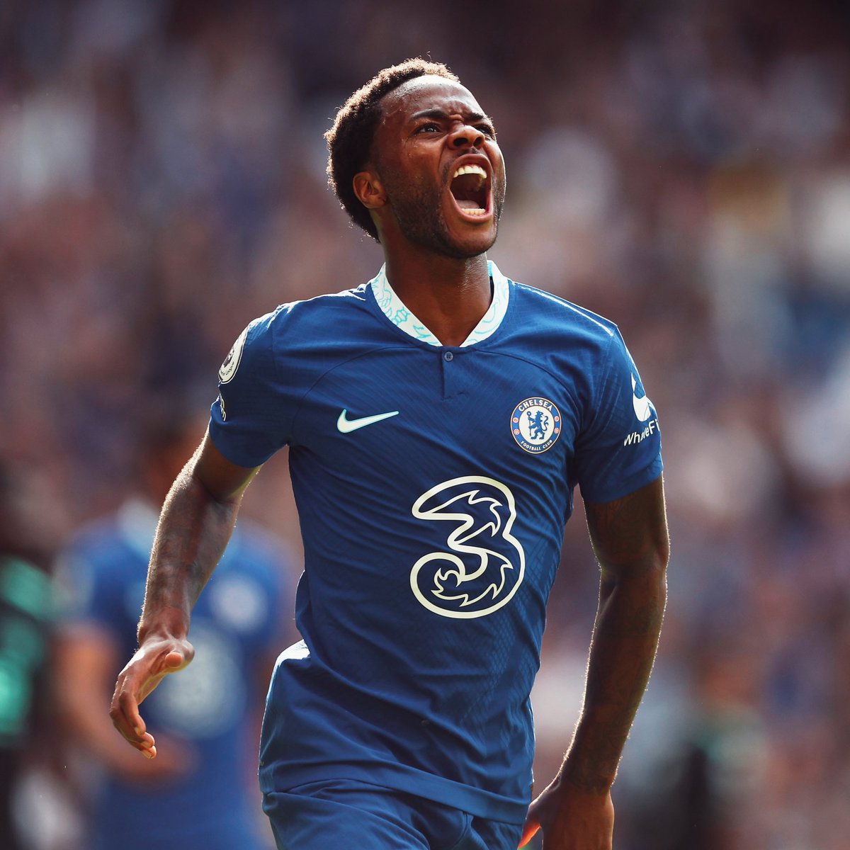 WHITE HART tweet media