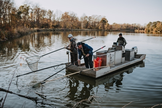 AES_LakeWork's tweet photo. Fall Fishery Management 🐟 - https://t.co/1ivRH2Qszm https://t.co/HBF0mdfqyG
