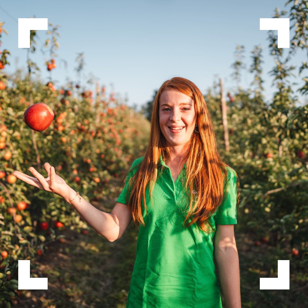 Anaïs is een fruitteelster met pit! 💪 Momenteel is ze samen met haar vriend druk in de weer in de boomgaard om te zorgen voor de lekkere Belgische appels én peren in jouw fruitmand! 🍎🍐 #boerindekijker #boerentrots