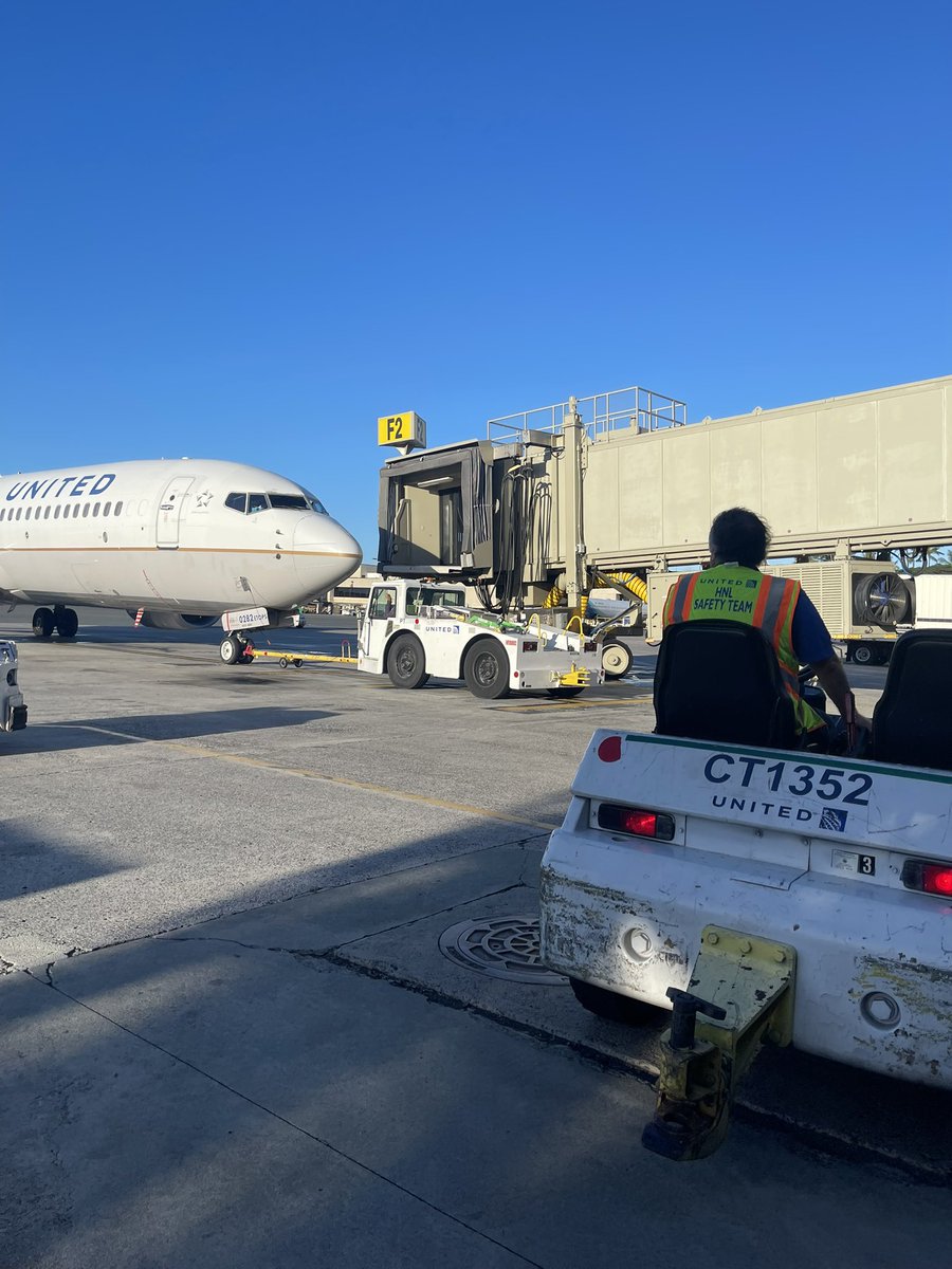 HNLSafetyUAL tweet media