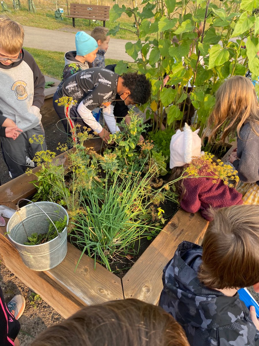 Wonderful Kinders tweet media